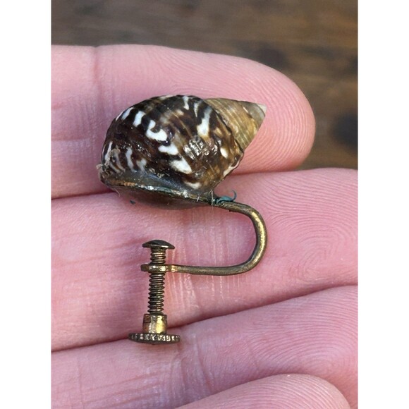 Vintage Seashell Screw-on Earrings Brown White Speckled - Picture 4 of 6